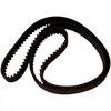 CORREA BMW 173 DIENTES 34MM