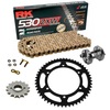 Sprockets & Chain Kit RK 530 ZXW Gold DUCATI Multistrada 1260 Enduro 19-22 Free Riveter