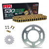 Kit de Arrastre RK 530 XRE Reforzado DORADO CAGIVA Elefant 650 Trail 85-87