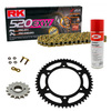 Kit de Arrastre RK 520 EXW ORO  HONDA CRF 450 X 19-23