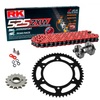 Kit de Arrastre RK 525 ZXW Super Reforzado ROJO BENELLI 502 C 22-25 Remachadora Gratis!
