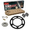 Kit de Arrastre RK 530 ZXW Super Reforzado ORO HARLEY Pan America 1250 21-25 ¡Remachadora Gratis!