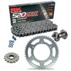 Sprockets & Chain Kit RK 520 ZXW Grey Steel HONDA FORZA 750 DCT 17-26 Free Riveter
