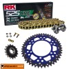 YAMAHA Tenere 700 World Raid 22-25 RK 525 XRE Power Kit Reinforced Chain Kit GOLD Free Riveter!!